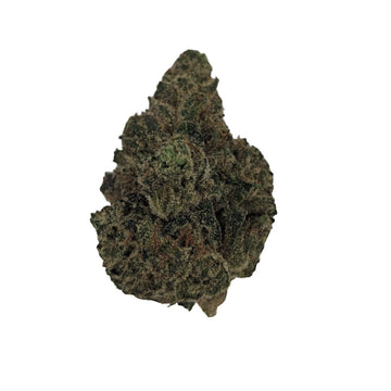 Space Apes (Oz)