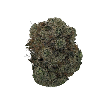 Black Dolato (Oz)