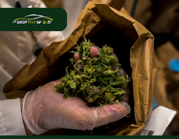 Medicinal Cannabis for Neurological Disorders: Epilepsy and MS Treatments
