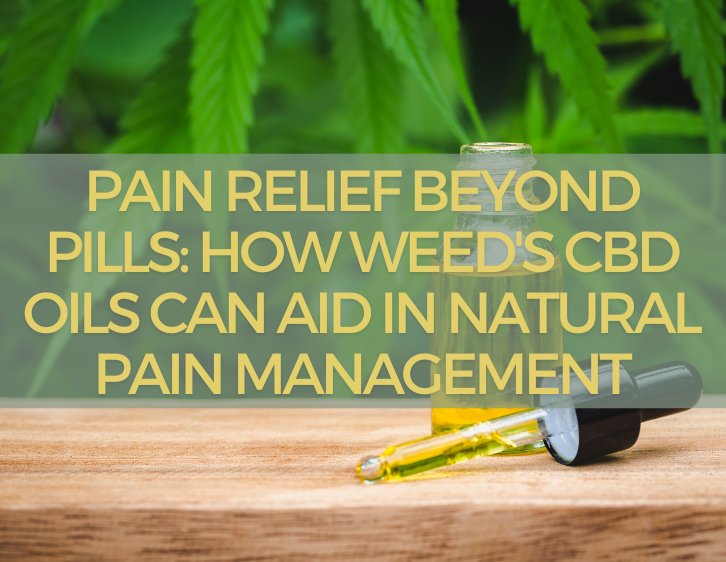 Pain Relief Beyond Pills: How Weed's CBD Oils Can Aid in Natural Pain Management